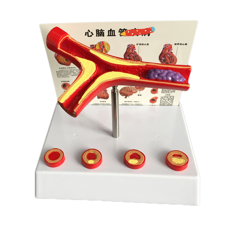 Medical Lab And Science - توسيع 50 مرة من مستلزمات المختبرات